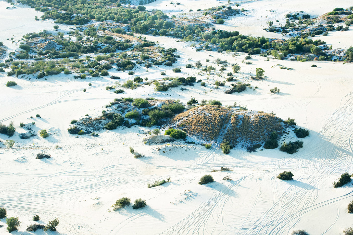 BRUTUS MAGAZINE 2020