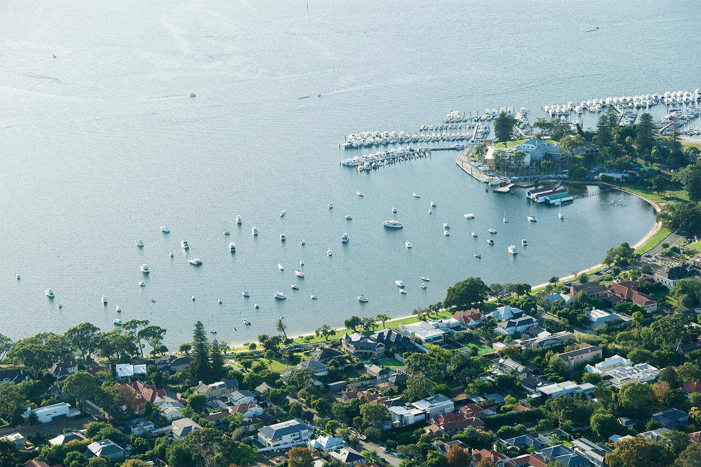 BRUTUS MAGAZINE 2020