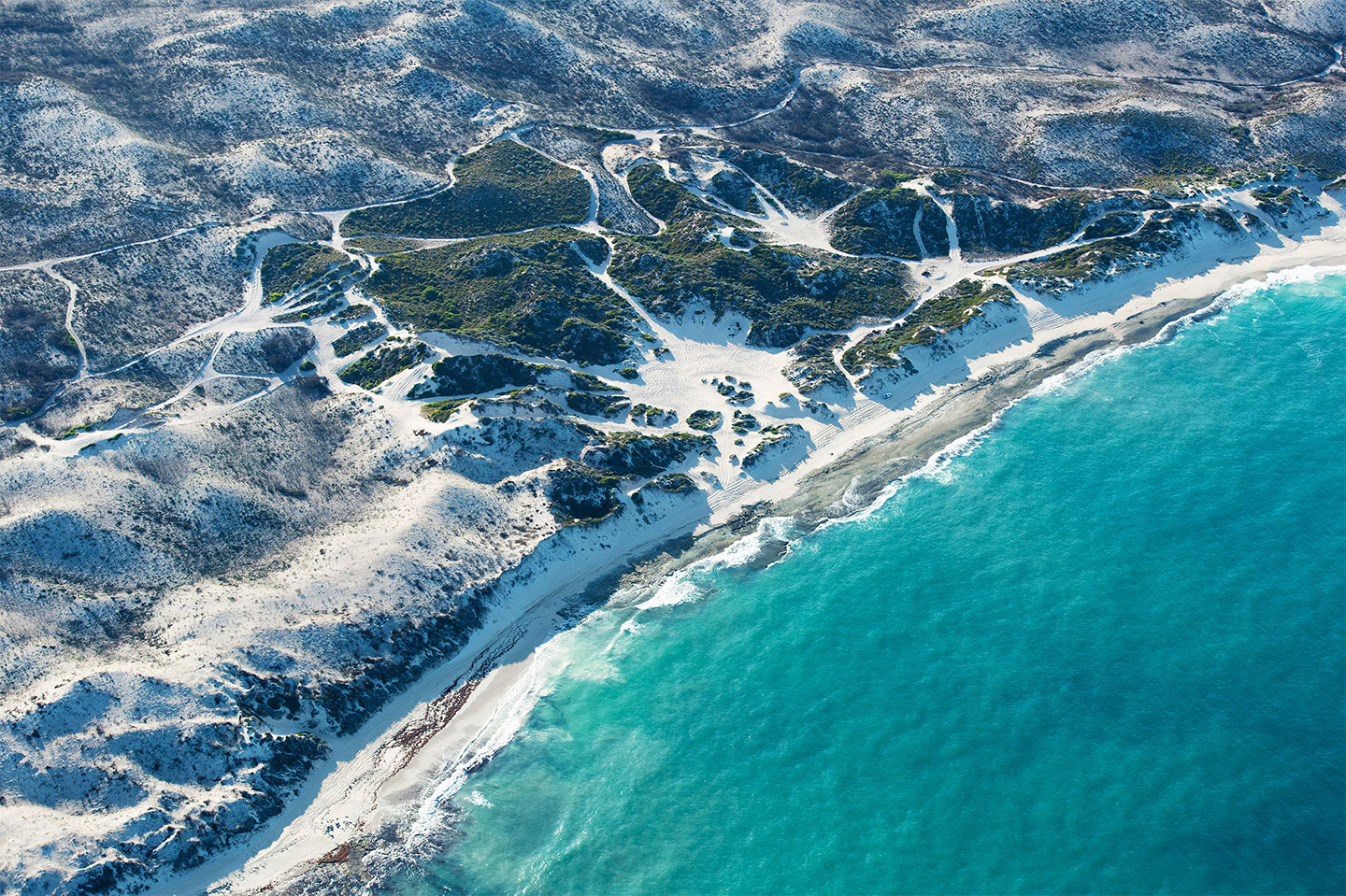 BRUTUS MAGAZINE 2020