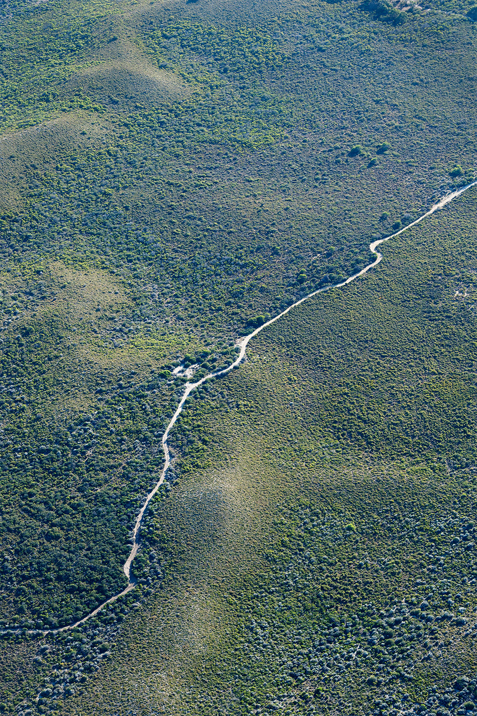 BRUTUS MAGAZINE 2020