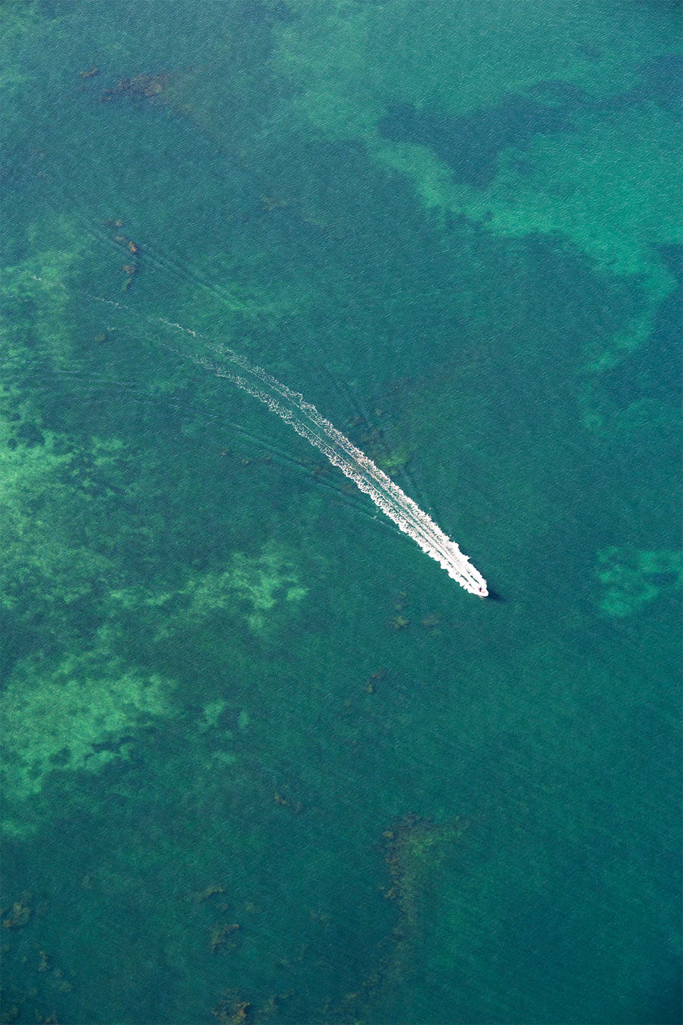 BRUTUS MAGAZINE 2020