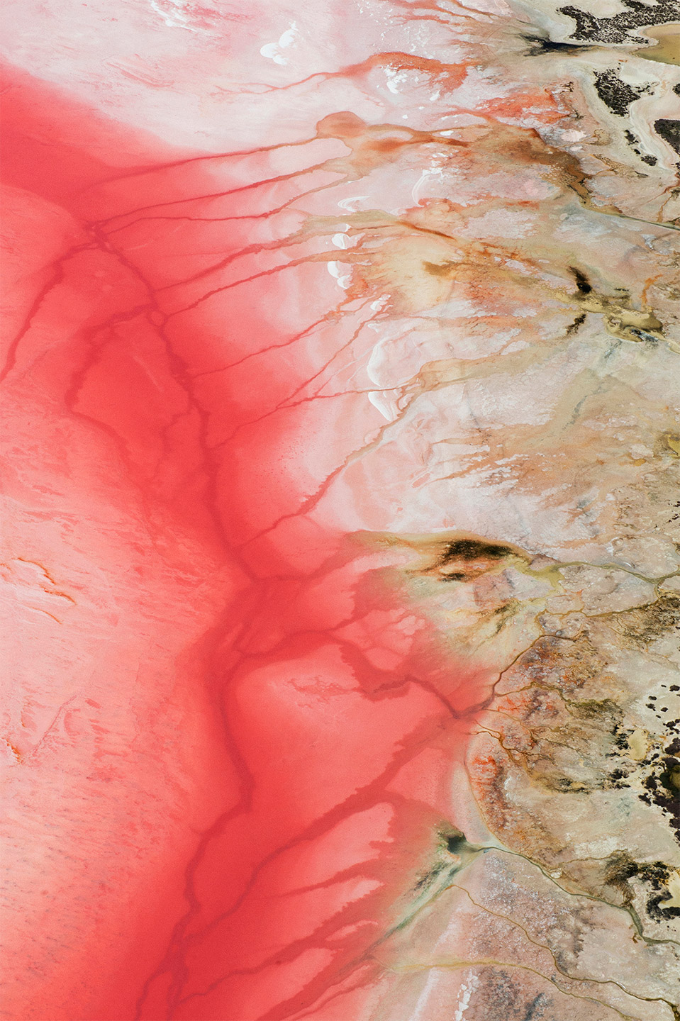 BRUTUS MAGAZINE 2020