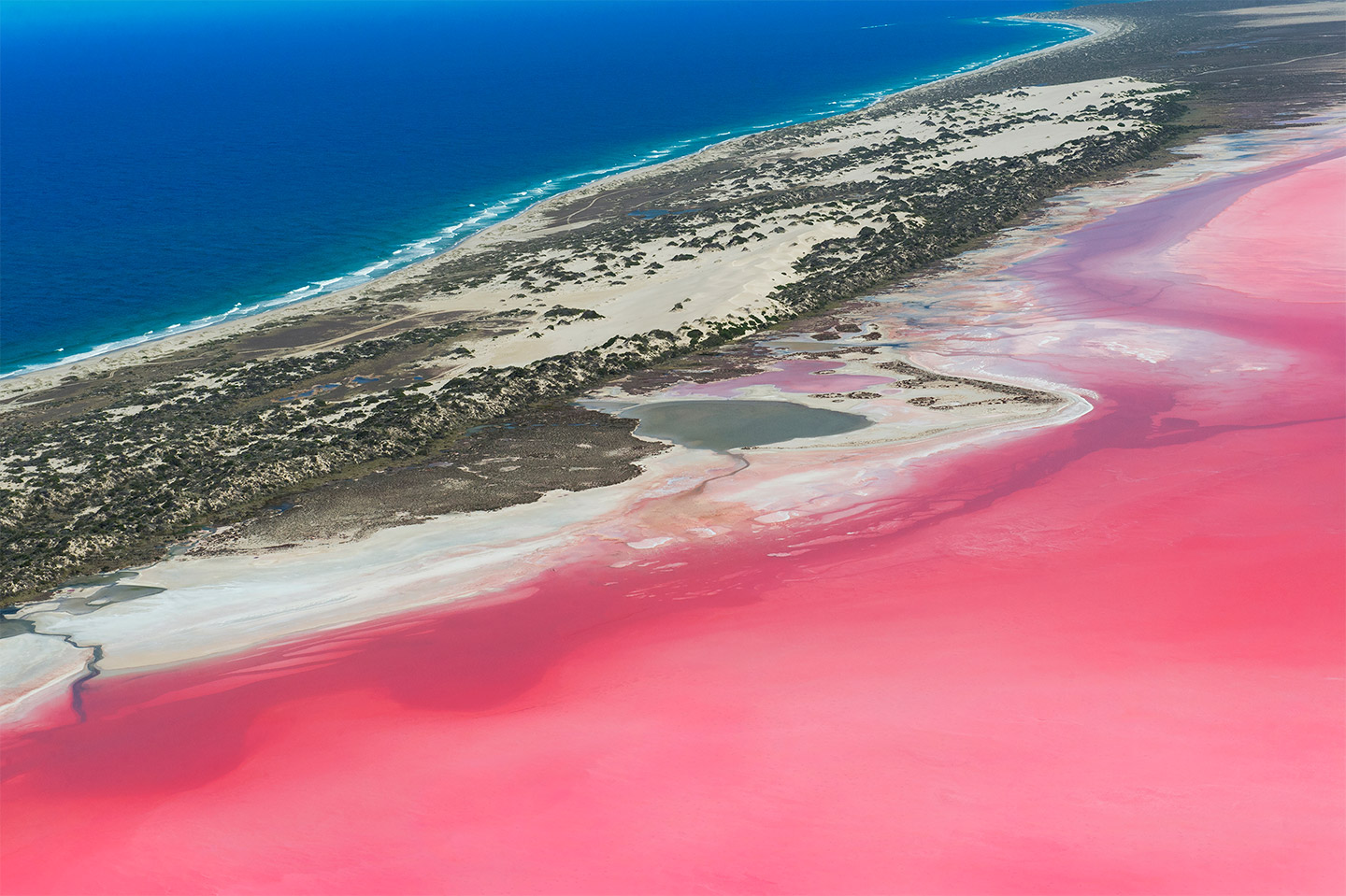 BRUTUS MAGAZINE 2020