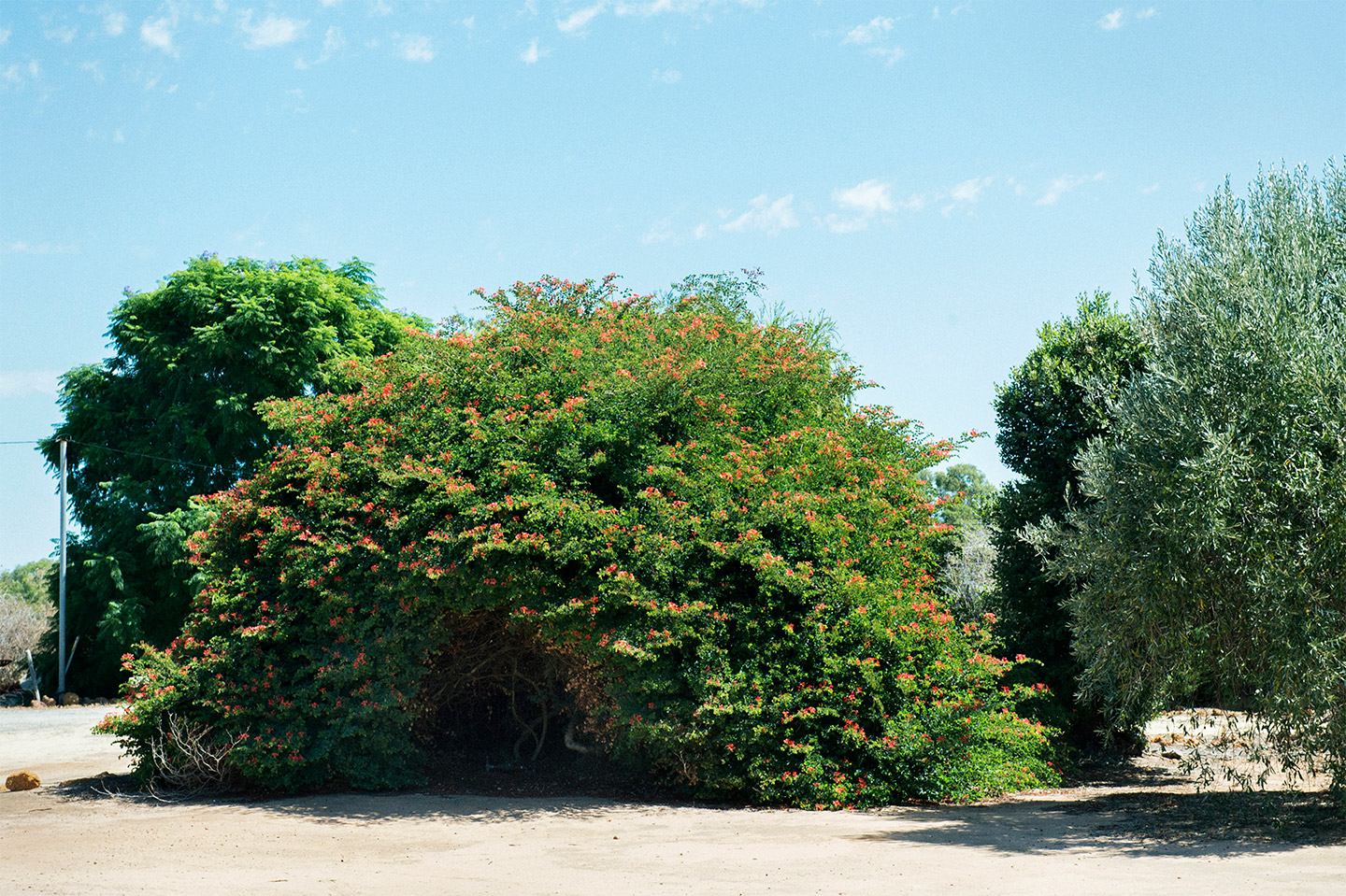 BRUTUS MAGAZINE 2020